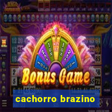 cachorro brazino